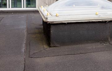 disadvantages of Baldwins Gate flat roofs