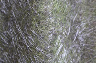 Baldwins Gate fibreglass roof work